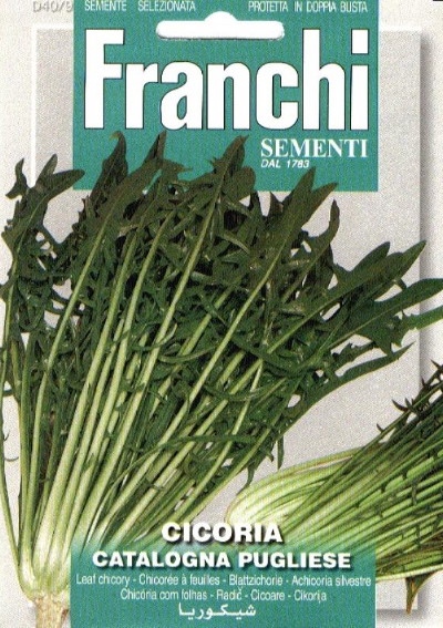 Chicory Catalogna Pugliese (Cichorium) 8400 seeds